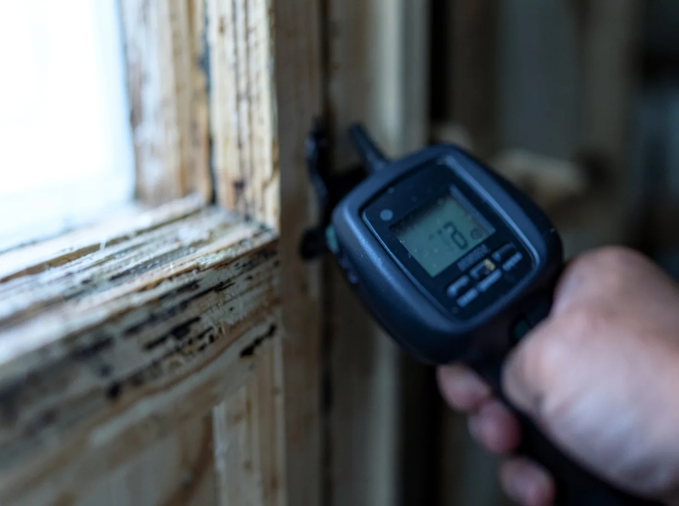 Moisture Inspection And Documentation in Sandy Hook, MS
